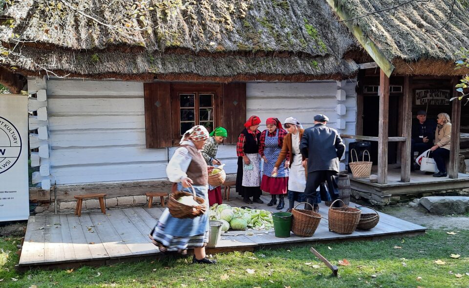 Tradycyjne kiszenie kapusty w Muzeum Wsi Lubelskiej! Zwyczaj wart ocalenia!